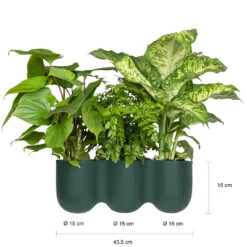 QUVIO Wand Bloempot-trio Plastic - Donker Groen - POPPY -Tuinmeubelwinkel 1000071738 0102