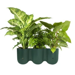 QUVIO Wand Bloempot-trio Plastic - Donker Groen - POPPY -Tuinmeubelwinkel 1000071738 0103