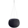 Prosperplast Prosperplats Bloempot Splofy Hangend - Antraciet - Kunststof - 24 Cm -Tuinmeubelwinkel 1274427606