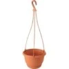 Prosperplast Prosperplats Bloempot Hangend - Terracotta - Kunststof - 24 Cm 2 Prosperplast Prosperplats Bloempot Hangend - Terracotta - Kunststof - 24 Cm -Tuinmeubelwinkel 1526546323