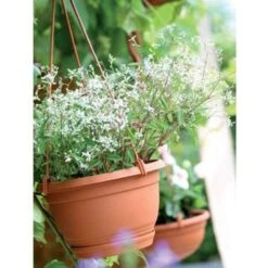 Prosperplast Prosperplats Bloempot Hangend - Terracotta - Kunststof - 21 Cm -Tuinmeubelwinkel 1760969864 0101