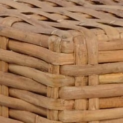VidaXL Voetensteun Met Kussen Natuurlijk Rattan 8 VidaXL Voetensteun Met Kussen Natuurlijk Rattan -Tuinmeubelwinkel 17f5d8865669447aa04821a17c8741a9