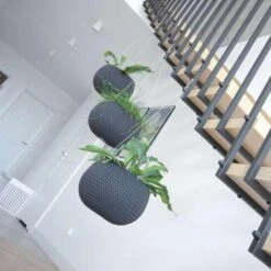 Prosperplast Bloempot Splofy - Ophangpot - Type - 37 Cm -Tuinmeubelwinkel 1859294079 0101