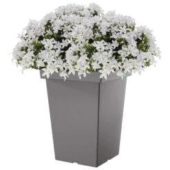 Prosperplast Bloempot - Kunststof - Steengrijs - B19 X H29 Cm -Tuinmeubelwinkel 2fed2723a6fc45818f40622a9a554597