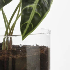 Tuinmeubelwinkel -Tuinmeubelwinkel 3f9fd9bc71e34e67a430aacbb0a43547