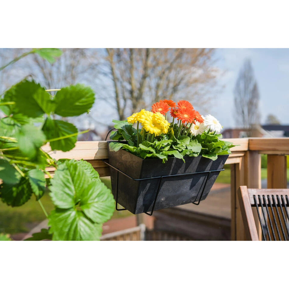 Ter Steege Plantenbak - Kunststof En Steenpoeder - Zwart - 37 X 17 Cm 4 Ter Steege Plantenbak - Kunststof En Steenpoeder - Zwart - 37 X 17 Cm - Afbeelding 2
