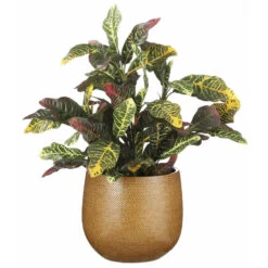 Mica Decorations Bloempot - Keramiek - Ribbel - Okergeel - 14 X 16 Cm -Tuinmeubelwinkel 795a0c68e1944d08abbfff8484319a37