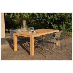 Exotan Tuinstoel Met Armleuning - Aluminium - Grijs - 85x56x53 -Tuinmeubelwinkel 9aa9344160944874b7503983af09c6a0