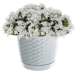 Prosperplast Plantenpot/bloempot - Kunststof - D22 X H19,5 Cm - Parel Wit -Tuinmeubelwinkel 9c8de8f100fb4dc88fa715a5e594ed93