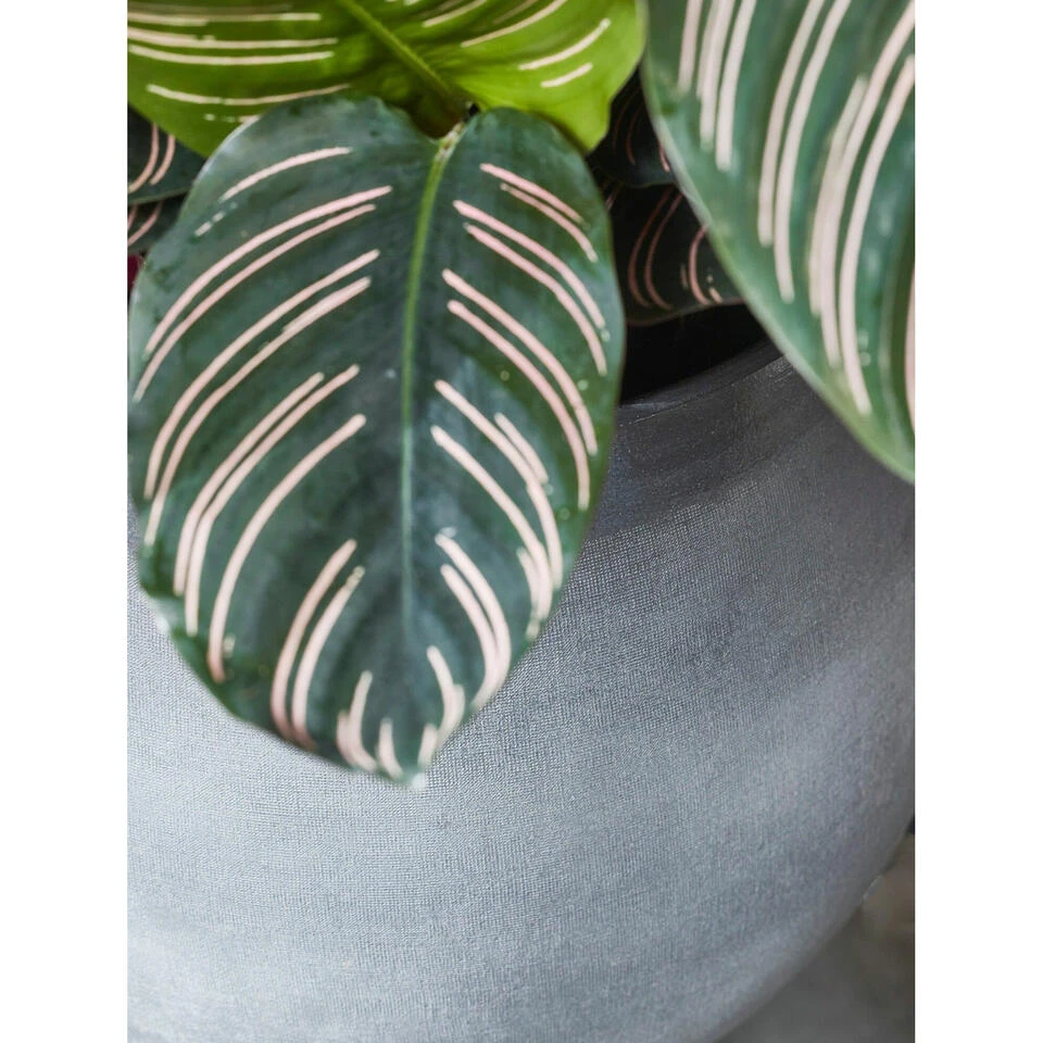 Mica Decorations Bloempot - Grijs - Keramiek - 26 X 23 Cm 4 Mica Decorations Bloempot - Grijs - Keramiek - 26 X 23 Cm - Afbeelding 2