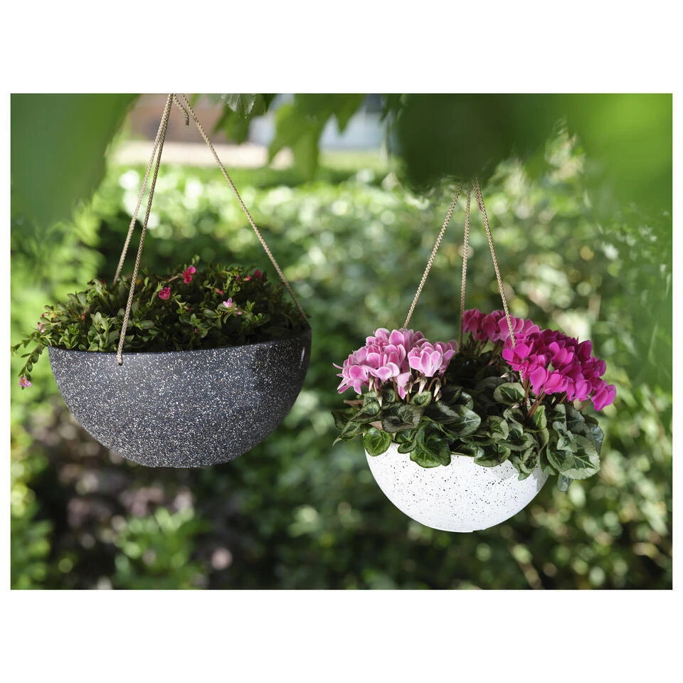 Ter Steege Plantenpot - Hangend - Wit - Kunststof - 25 X 12 Cm 4 Ter Steege Plantenpot - Hangend - Wit - Kunststof - 25 X 12 Cm - Afbeelding 2
