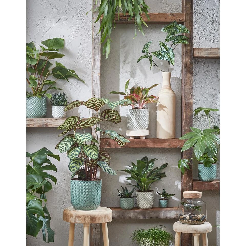 Mica Decorations Daan Bloempot - H20,5 X Ø21,5 Cm - Groen 6 Mica Decorations Daan Bloempot - H20,5 X Ø21,5 Cm - Groen - Afbeelding 4