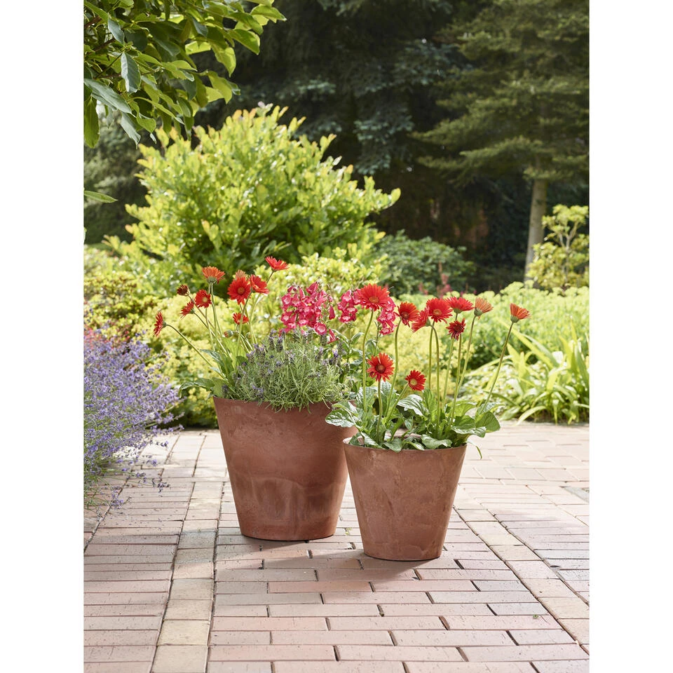 Ter Steege Bloempot - Light Terra Cotta - Natuursteen Look - D22 X H20 Cm 4 Ter Steege Bloempot - Light Terra Cotta - Natuursteen Look - D22 X H20 Cm - Afbeelding 2