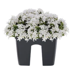 Tuinmeubelwinkel -Tuinmeubelwinkel ed5d93d10097496a88089ae90063c150