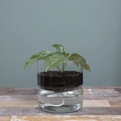 Mica Decorations Elements Bloempot Met Bewateringssysteem -Tuinmeubelwinkel fa6d253263234aac98fbae3ede1d0b90